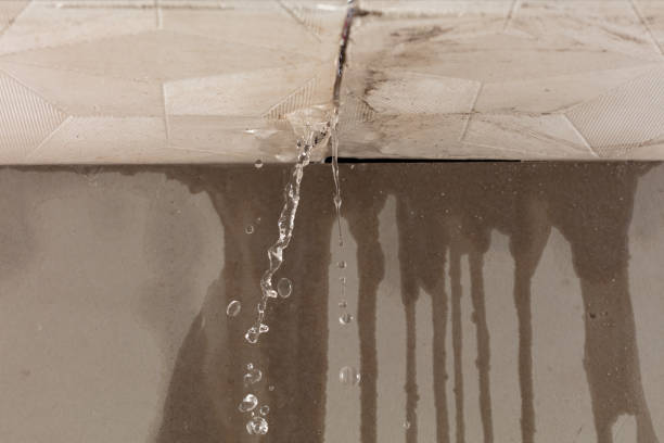 Professional Commercial Water Damage Restoration technician working in Harmony, MN